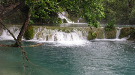 Plitvice - Plitvice, Lake, Nature, Croatia