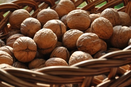 Walnuts - basket, nuts, walnuts, brown