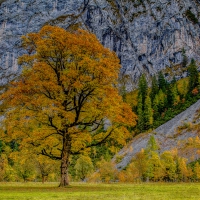 *** Austria-alps and autumn ***