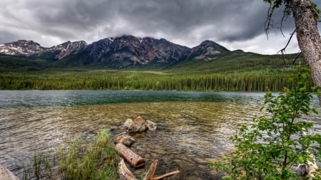 fabulous river landscape hdr - forests, river, clouds, logs, mountains, hdr, rocks