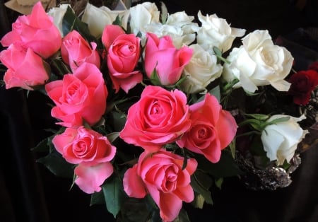 *** Roses *** - flowers, roses, white, nature, flower, pink