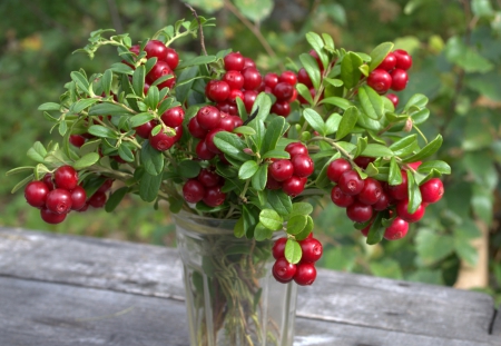 *** Bouquet *** - bouquet, berries, life, still, nature