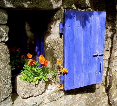 â™¥ - stone, flowers, blue, photography