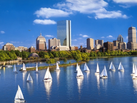 White Sailboats off the coast of Boston - coast, blue, beautiful, boston, sea, sailboats, white, view, buildingd