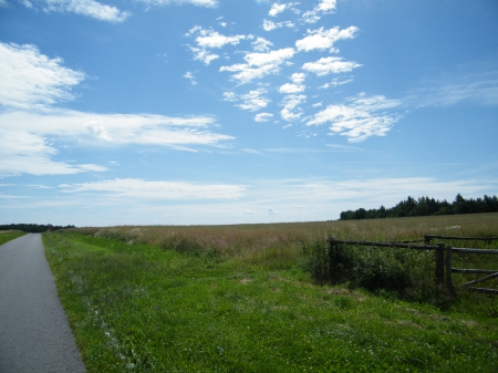 Road in the nature - green, field, grass, road