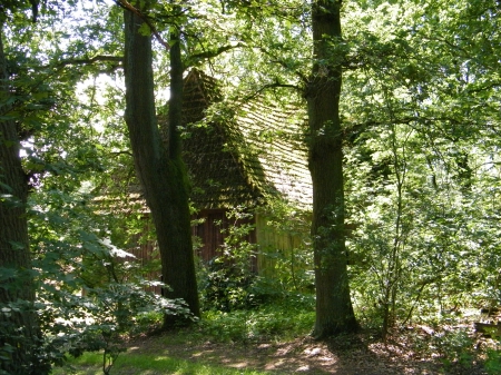 Old House in the forest - trees, forest, sun, green, house, old