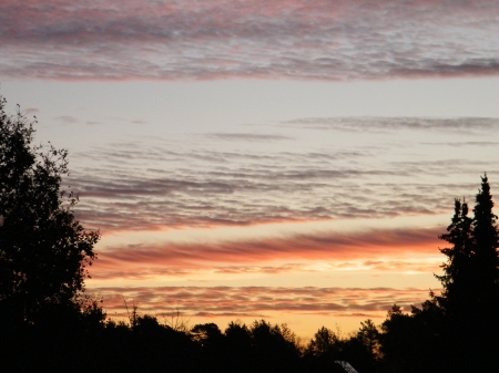 Beautiful Sunset_1 - trees, sunset, yellow, red, dark