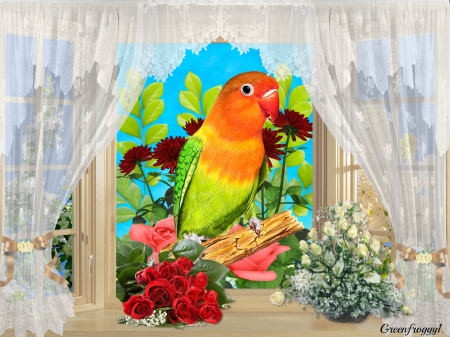 PRETTY POLLY - creation, flowers, window, parrot