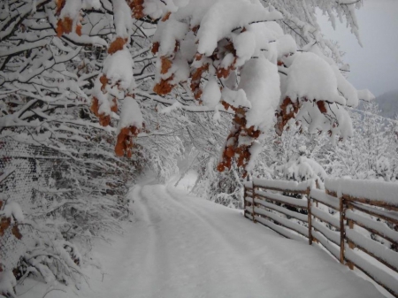 Winter - minunata, de basm, peisaj, iarna