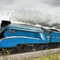 the great britain V bittern steam engine