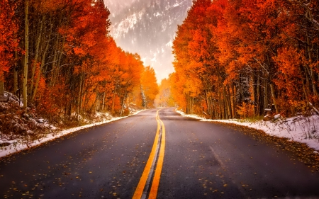 October - nice, autumn, popular, colorful, mirrored, shine, road, foliage, fall, pretty, reflection, tree, golden, branches, forests, falling, wallpaper, lovely, nature, glow, october, snow, beautiful, leaves, colors