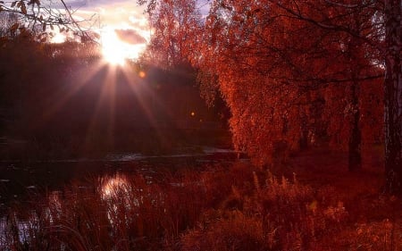 Autumn Colors by the River - trees, sunset, river, autumn