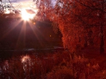 Autumn Colors by the River