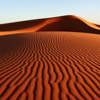 The Dunes of Arabia