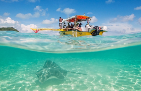 Under the Lagoon Bora Bora - beach, paradise, water, clear, underwater, polynesia, bora bora, lagoon, shallow, sand, stingray, boat, ocean, islands, tropical, exotic, blue, island, fish, sea, tahiti