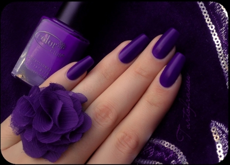 purple nails - fingernails, flower, purple, silver, beauty, nails