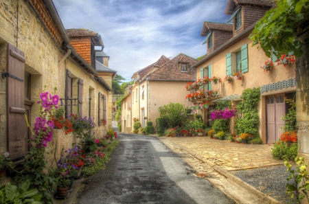 Beautiful village - house, fields, beautiful, splendor, road, photo, village, flowers, street, nature, color, houses