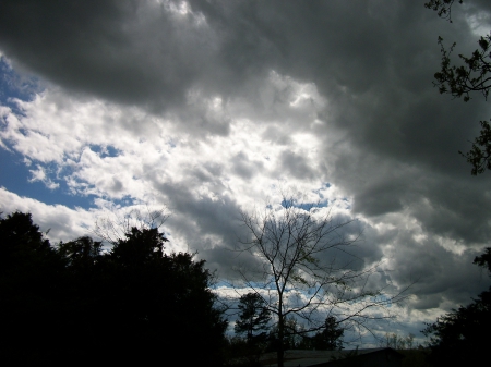 Sun bleached - warm, sunny, blue, god, God, storms, tags, fof, rain, dew, mist, sun shine, early, sky, sun, flamesoffish, sun rise, stormy, morning, tag, tree, storm clouds, white, nature, tagging, sun light, cloud, animals