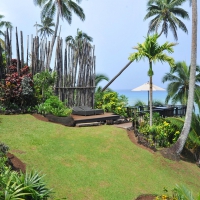 Garden in Fiji