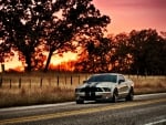 Ford-Mustang-Shelby-Gt500