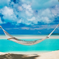 Hammock in the South Pacific Islands