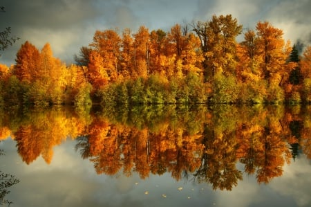 Autumn Reflection - clouds, trees, water, splendor, forest, reflection, fall, nature, autumn, autumn splendor, lake, sky, woods