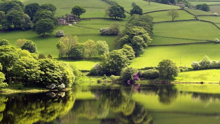 GREEN HILL - trees, water, lagoon, green, grass