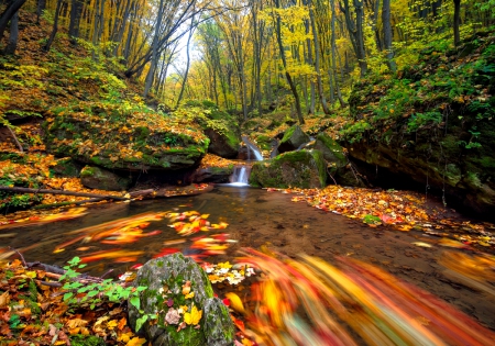 Autumn - trees, water, splendor, forest, leaves, fall, river, nature, waterfall, autumn, autumn splendor, autumn leaves, woods