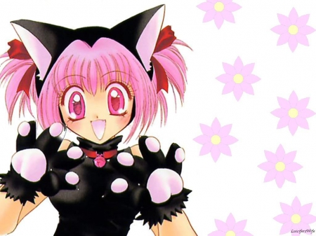 Ichigo Momomiya - tokyo mew mew, strawberry, mew mew power, cute, ichigo momomiya, cat