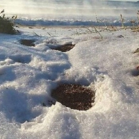 HAIL ON BEACH