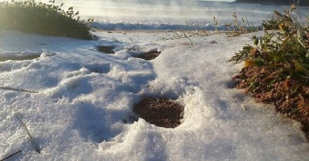 HAIL ON BEACH - beach, hail, stones, nature