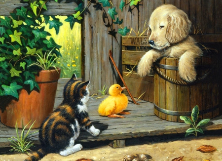 Cute friends - nice, farm, fluffy, animals, countryside, pets, dog, cute, puppy, adorable, cat, kitty, funny, plants, lovely, kitten, village, duckling, beautiful, sweet, friends