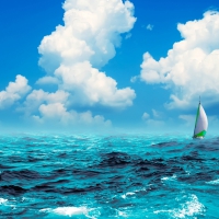 sailboat in the Sea