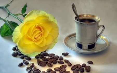 morning coffee - coffee, still life, rose, cup