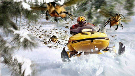 Ride Like The Wind - bees, fast, snow, snowmobiles