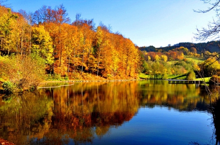 Golden october - calm, quiet, forest, reflection, shore, lake, golden, nice, sky, trees, beautiful, mirrored, lovely, dock, river, nature, tranquility, clear, serenity, october