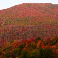 autumn mountain