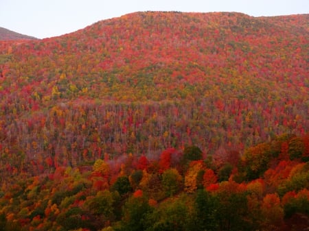 autumn mountain - colors, mountains, trees, beautiful