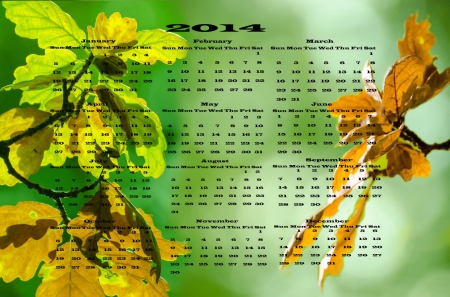 Calendar 2014 - leaves, nature, calendars, autumn