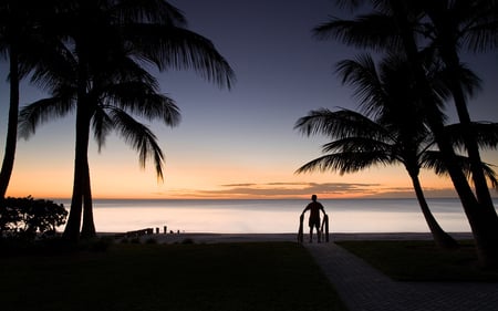 Silhouette - nature, palm trees, ocean, beach, sandy, florida, tropical