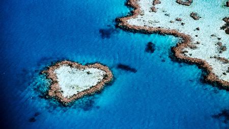 Heart Island - beach, tropics, heart, paradise, water, coral reef, oceans, amazing, land, sand, love, ocean, blow, sign, islands, nature, blue, island, sea