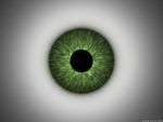 GREEN CORNEA