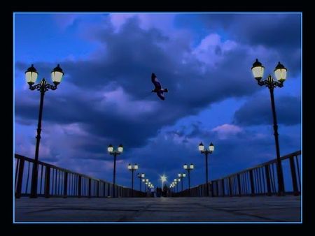 pier at the night - night, street, pier, lamps