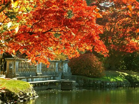 Autumn at Sheffield Park Gardens East Sussex - sheffield, east sussex, park, gardens