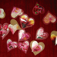 Paper Hearts