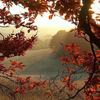 Autumn Chiltern view