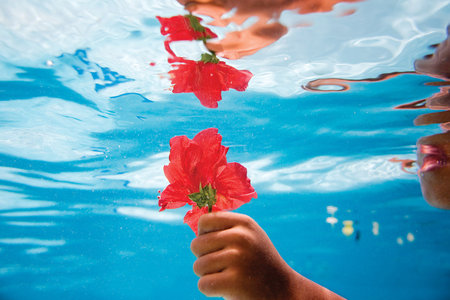 Flower under water.... - flower, water, burn, sunset, nature, jungle