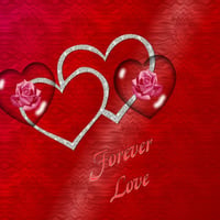 Forever Love