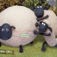 Shirley the sheep