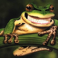 Cheesy Smiling Froggy